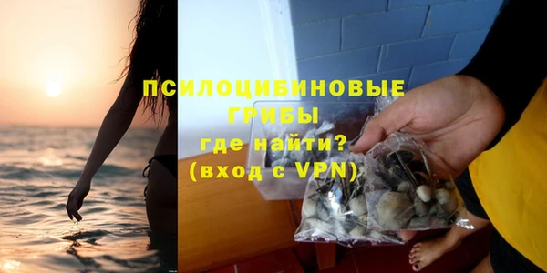 a pvp Алзамай