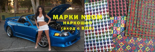 a pvp Алзамай