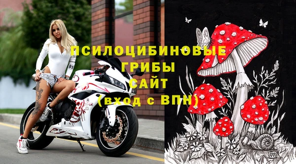 меф Алексин